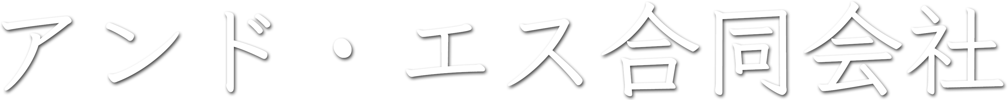 AND.S LIMITED LIABILITY COMPANY